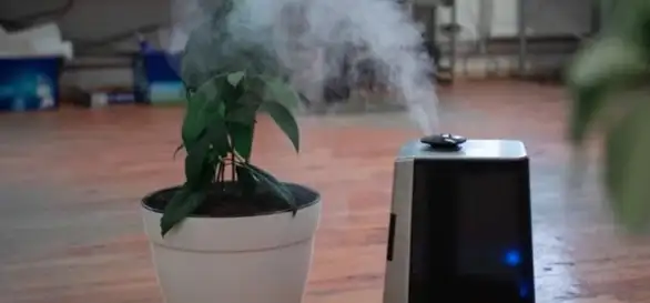 10 najčešćih pitanja o prečišćivačima vazduha