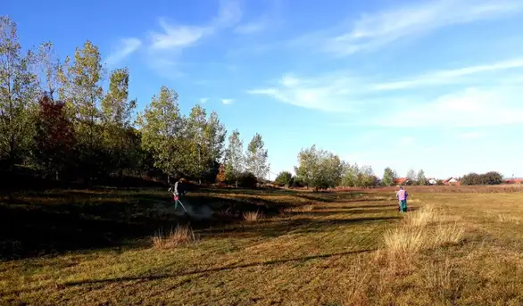 Počele pripreme za Kros RTS-a: Uređuje se staza i prostor oko hipodroma