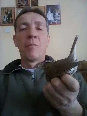 Humanost na delu: Dragan spasava ptice od zime (FOTO)