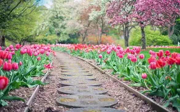 U Zaječaru danas pretežno sunčano vreme