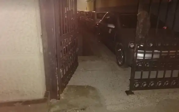 Čovek u centru Zaječara davio psa