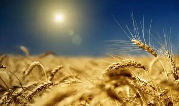 Nedimović: Srbija ima dovoljno osnovnih životnih namirnica