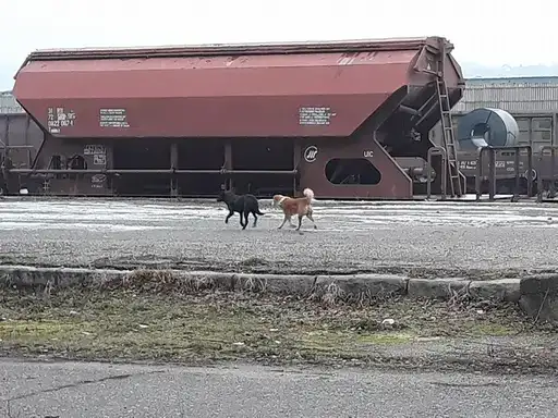 Iskliznuo tererni voz kod Vratarnice