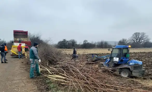 U toku radovi na krčenju i sanaciji "Belgijske pruge"