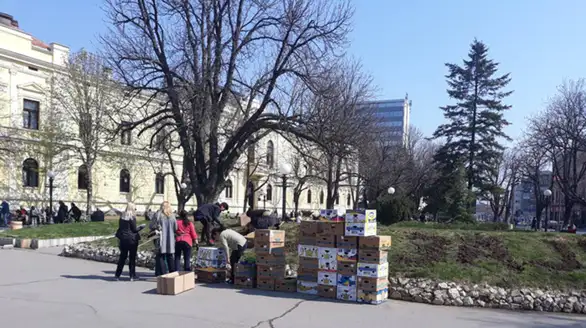 U 2019 godini JKP "Timok održavanje" planira da za rasad utroši 4.000.000 dinara (FOTO)