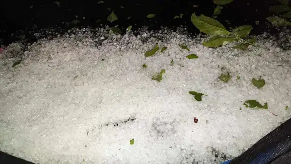 Komandant  Štaba za vanredne situacije:  Nevreme može da se ponovi između 02.00 - 04 00 časova