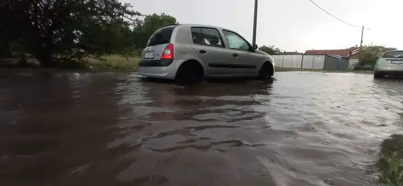 Nevreme protutnjalo Zaječarom: oborena stabla, pojedini delovi grada bez struje