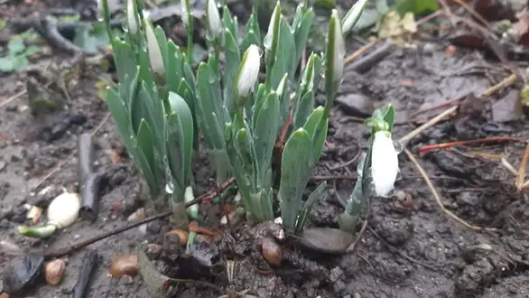 Slika dana: Zbogom, zimo!