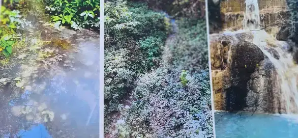 Udruženje "Čukaru Peki": Edukacijom protiv ekološke kataklizme na istoku Srbije