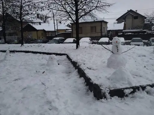 Slike dana: Ovo je foto-otisak 11. januara