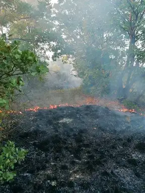 Požar u ataru sela Borovac