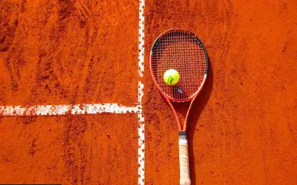 Ko su trenutno najpraćeniji sportisti iz Srbije na mrežama?