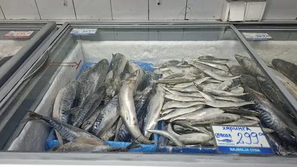 Kako se kreću cene ribe i pečenja pred Nikoljdan?