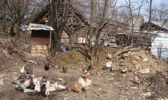 U Zaječaru počelo istraživanje o položaju žena i dece u romskim naseljima