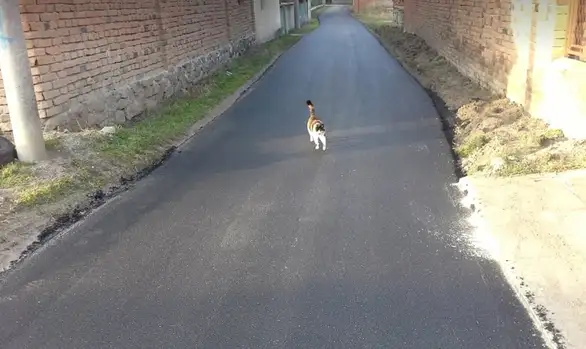 U Salašu asfaltirana ulica dužine 430 metara: Vrednost radova 2.700.000 dinara