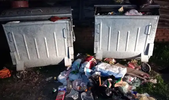 Problemi sa punim kontejnerima i u Salašu