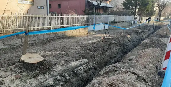 Počela seča lipa: Nastavljena rekonstrukcija ulice Ivana Milutinovića