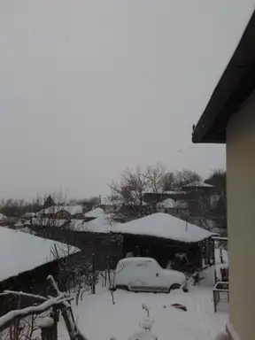 "Foto otisak" snežne nemani koja je napala istok Srbije!