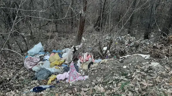 Divlja deponija i pored puta Vražogrnac - Trnavac