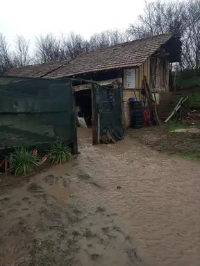 Zbog nedovršenog kanala voda se sliva u dvorište: Treća poplava domaćinstva Slavice Svetozarević u Vražogrncu