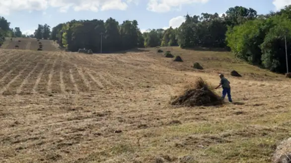 Počeli radovi na uređenju ski staze na Kraljevici