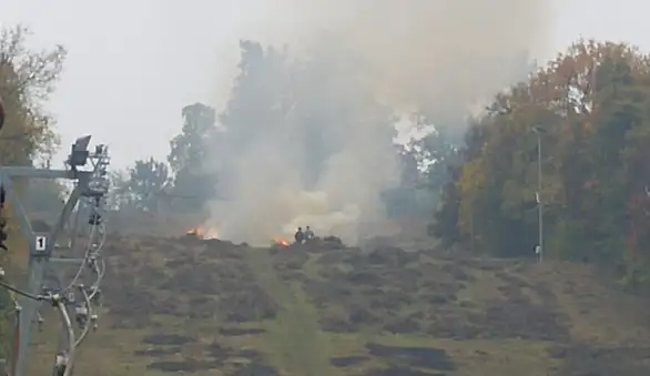 Zabranjeno paljenje vatre u šumi: Da li važi i za Zaječar?