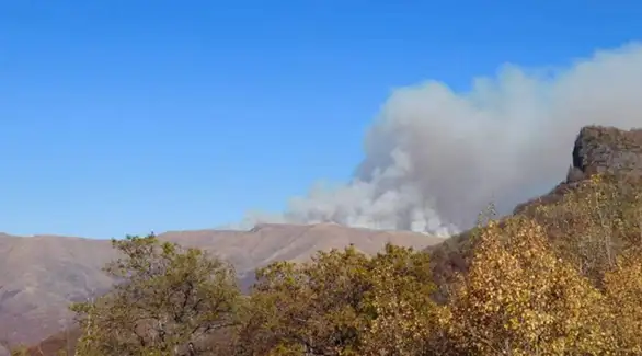 Marić: Sva raspoloživa sredstva na terenu i gase požar na Staroj planini