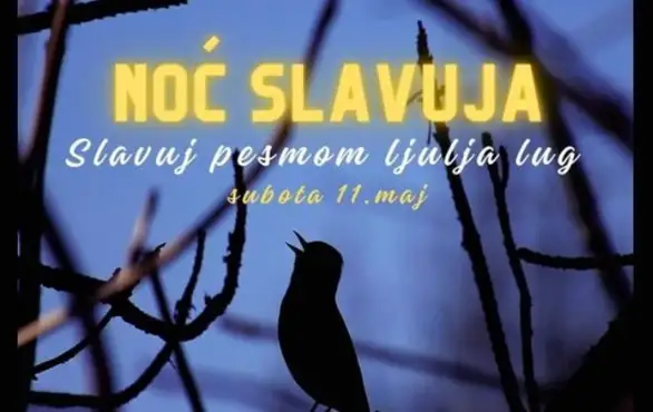 U okviru manifestacije "Noć slavuja" izlet će biti organizovan i u Zaječaru