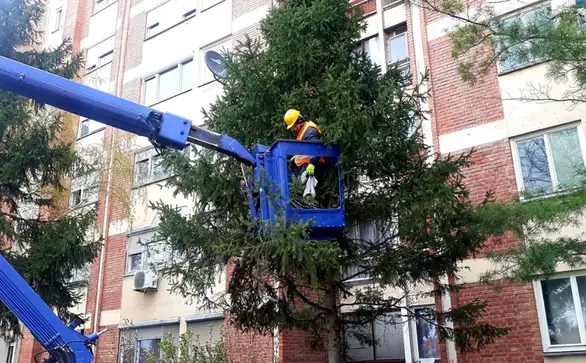 Radnici Timok održavanja uklonili smeće sa drveća u naselju "Kraljevica"