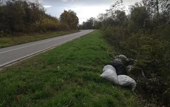 Gde je kultura: Džakovi sa smećem bačeni pored puta Zaječar - Vidin