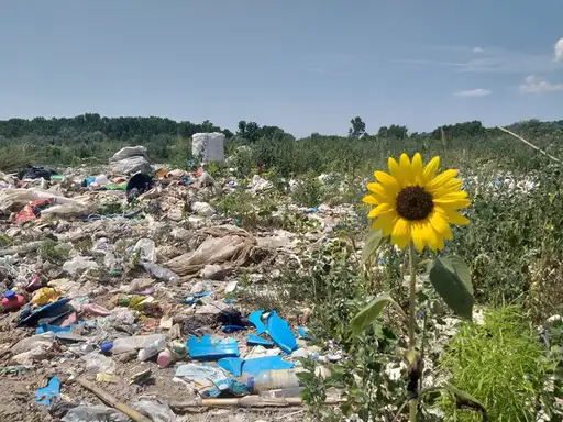Pored puta Zaječar - Planinica - Boljevac meštani stvorili divlju deponiju
