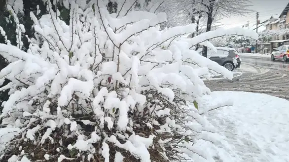 U Zaječaru hladno, oblačno sa snegom