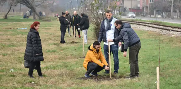 Srpska napredna stranka u Zaječaru organizovala akciju sadnje