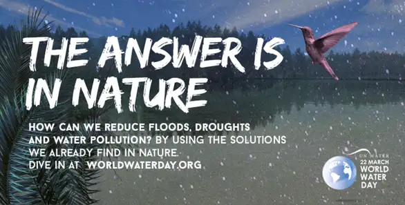 Svetski dan vode: Odgovor se nalazi u prirodi!