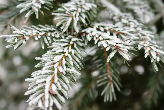 Danas malo hladnije, mestimično sa kišom, na planinama sneg
