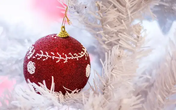 Novogodišnja čestitka: Tačno. Jasno. Glasnije - i u 2021.