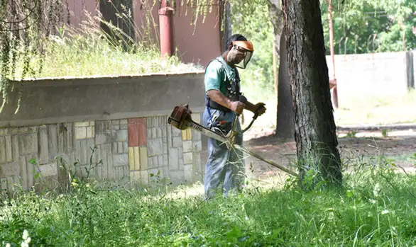 Akcija uređenja zelenih površina u Gamzigradskoj banji