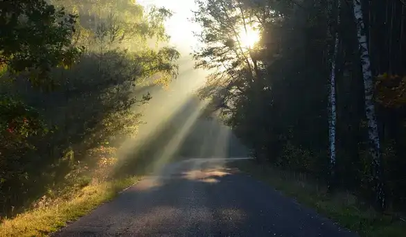 Stanje na putevima: Dobri uslovi za vožnju