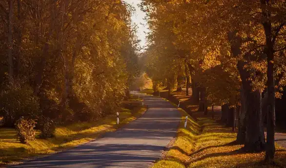 Stanje na putevima: Saobraćaj umerenog intenziteta, na brojnim deonicama ima radova