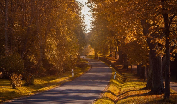 Stanje na putevima: Lepi jesenji uslovi za vožnju, popodne pojačan saobraćaj