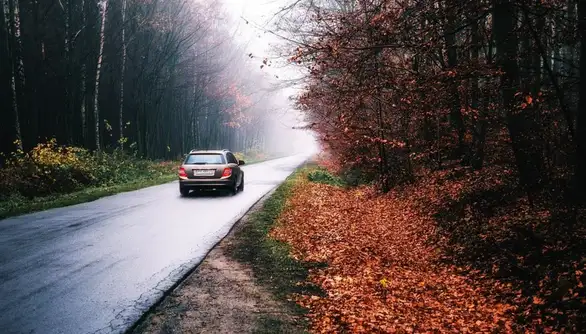 Stanje na putevima: Vidljivost smanjena zbog magle