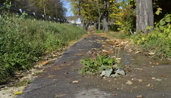 Biciklistička staza do Grljana: Na delu staze asfalt počeo da puca