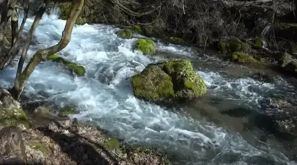 GreenStock – Zeleni Istok: Ekološki problemi u istočnoj Srbiji - dokumentarni film