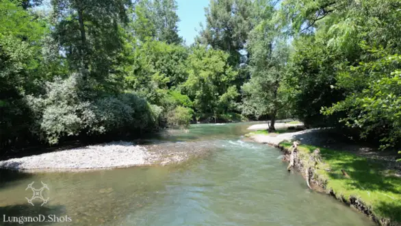 Eko Istok započinje mapiranja biodiverziteta na području Zaječara