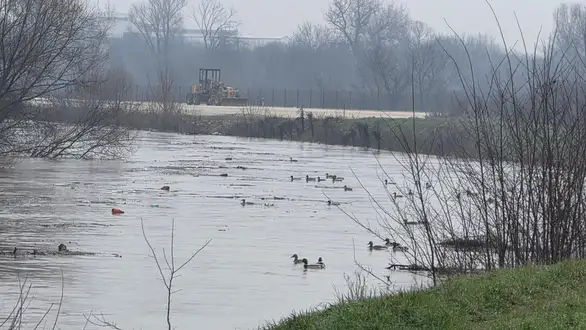 Timok se smirio, ali opasnost i dalje nije prošla