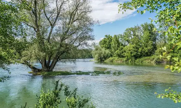 U Zaječaru danas sunčano i toplo vreme: Temperatura do 38c