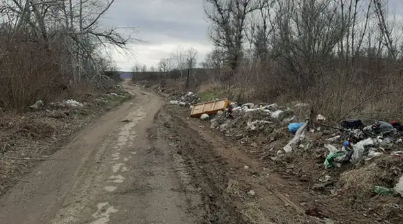 Meštani muku muče zbog stanja puta: na putu rupe, kraj puta đubrište