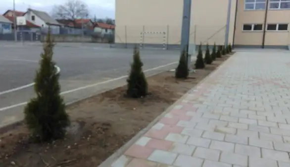 Zaposleni u OŠ "Ljubica Radosavljević Nada" organizovali uređene školskog dvorišta