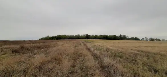 Dragulj srpske vojne arhitekture skriven je u šumi kod Nikoličevske banje