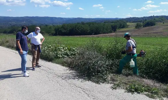 U toku radovi na uređenju deonice puta Vražogrnac - Trnavac